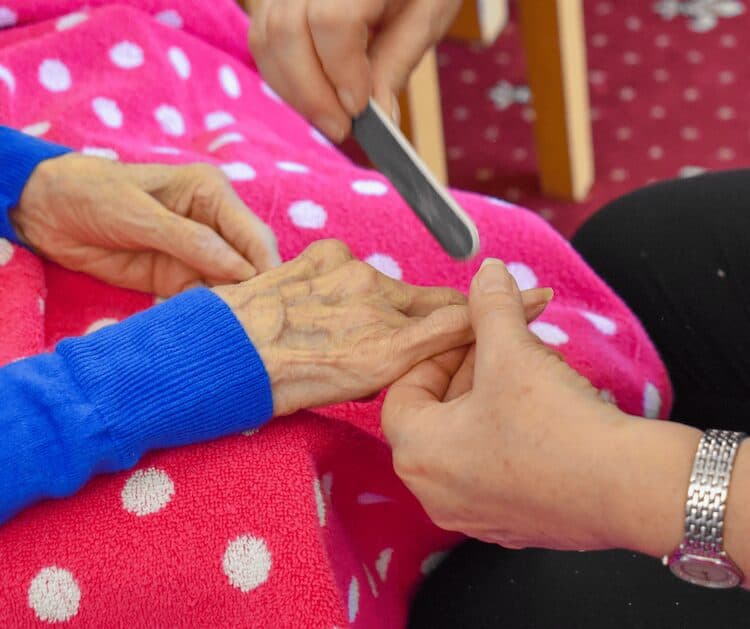 Orchard Care Home