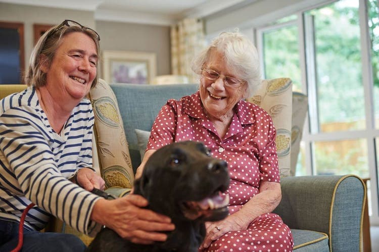 Bourne Wood Manor Care Home