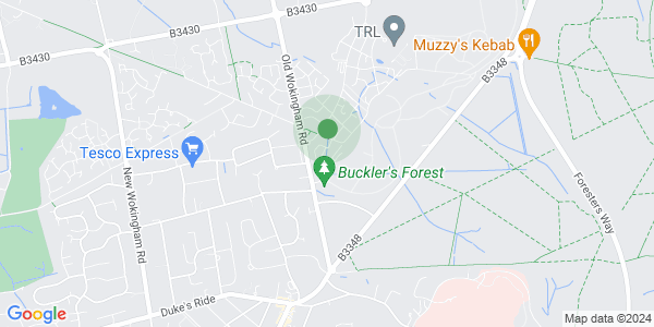Map Preview